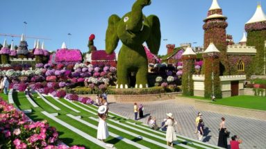 Miracle Garden